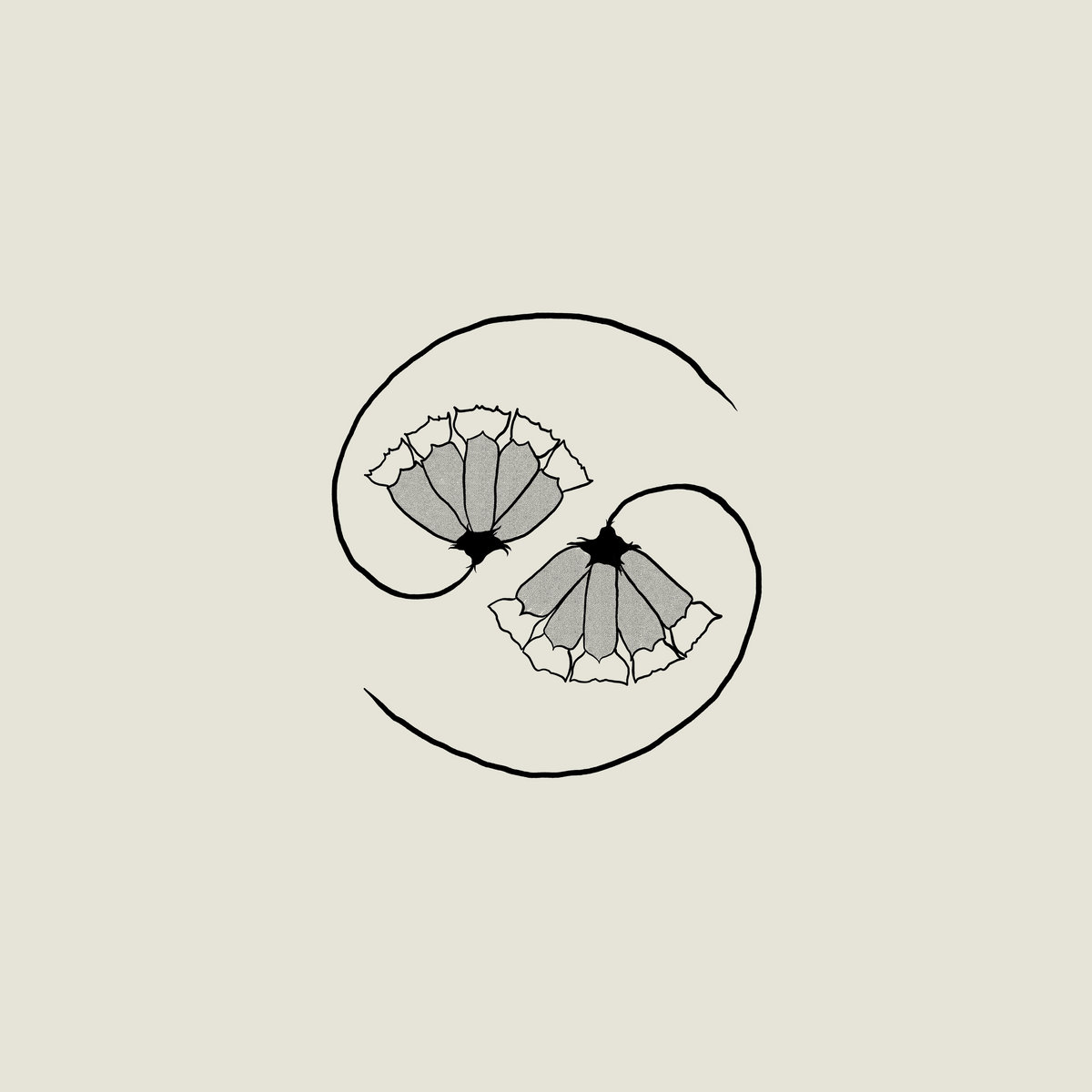 GODSPEED YOU! BLACK EMPEROR - G_d's Pee AT STATE'S END!