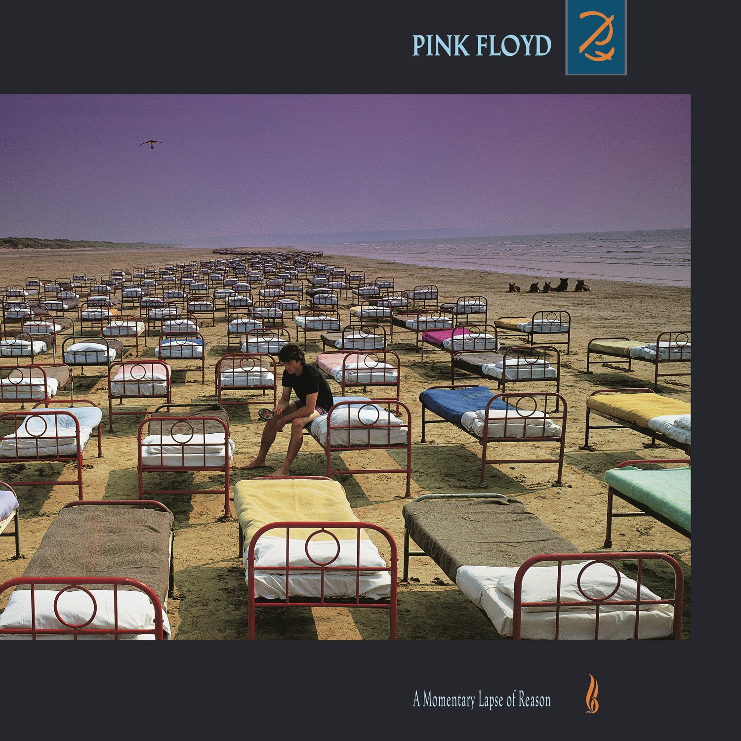 PINK FLOYD - A Momentary Laps Of Reason